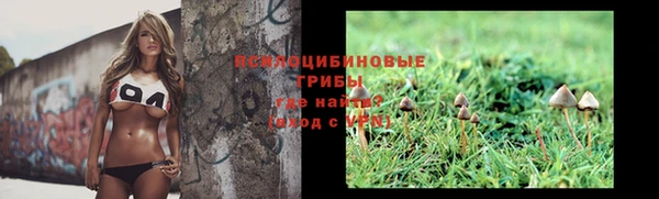 гашик Беломорск