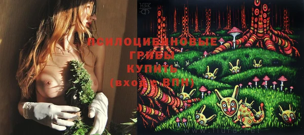 2c-b Белокуриха