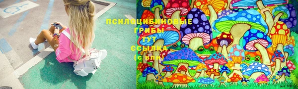 соль курить ск Богородицк