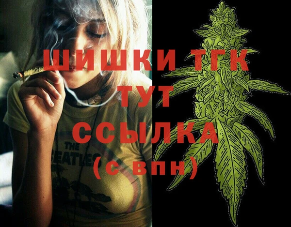 прущий лед Богородск