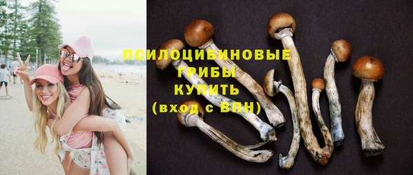 прущий лед Богородск