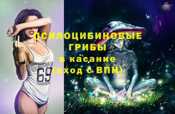 2c-b Белокуриха