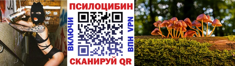 Галлюциногенные грибы ЛСД Юрьевец